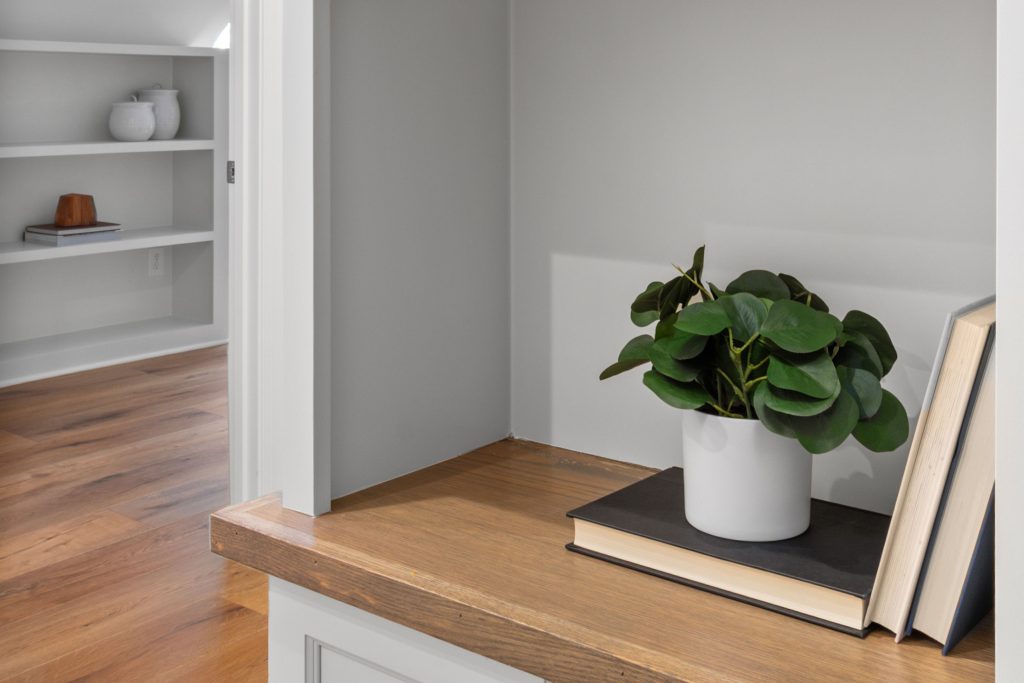 A minimalist interior features a plant, books, and wooden shelf.